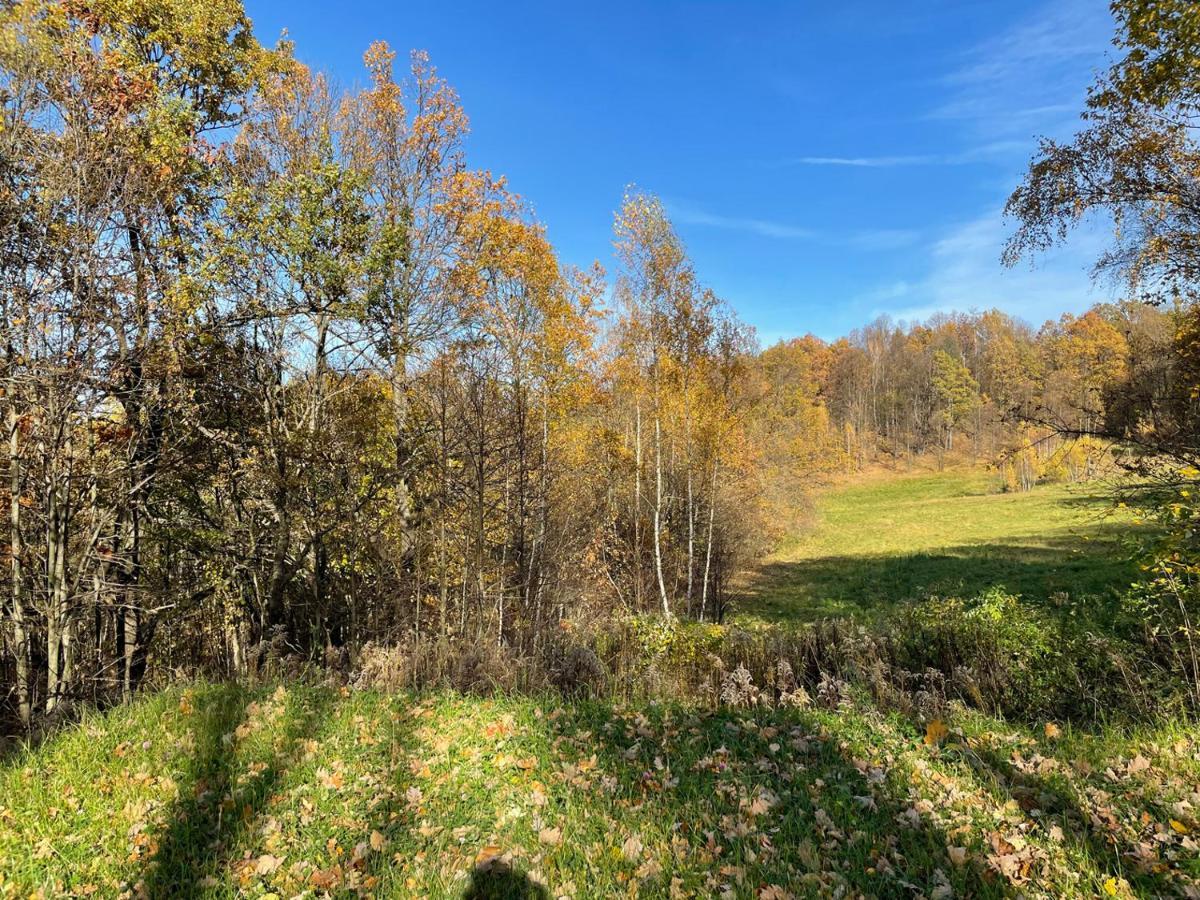 Domki Marczyce Sosnowka  Bagian luar foto